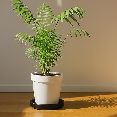 Ceramic Plant Saucer/Drainage Tray, 7.1 in, Black, 97-T-B-3 - view 3