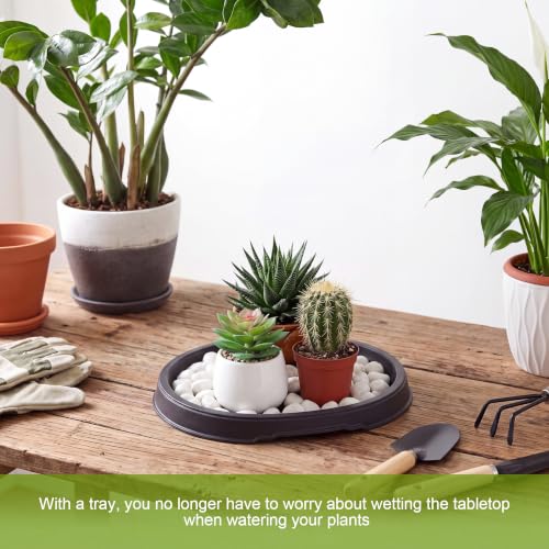 2 Pcs Bonsai Humidity Drip Tray for Plants,9.13 x 6.02 Inch - view 4