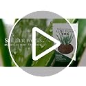 Professional Aloe Plant Soil Mix Large 2.2 Quarts Ready to Use, Premium Potting Soil for Aloe Vera Cactus Succulent Plants, Fast Draining Blend Pinebark Peat Course Sand Indoor Made in USA (Pack of 2) - view 7