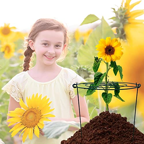 10 Pack 12"x16" Peony Cages Plant Support Stakes Grow Through Grid Grow Through Hoops, Metal Flower Plant Brace Support Ring for Heavy Blossom - view 4