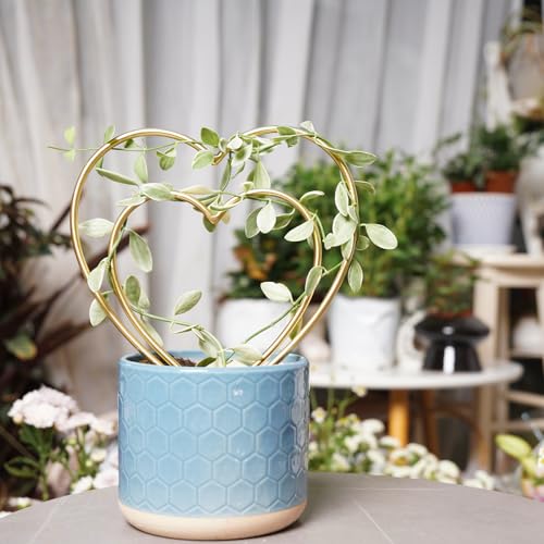 Indoor Plant Trellis Set of 3 - Mini Gold Heart-Shaped Frames for Climbing Houseplants, Hoya, Ivy, and Pothos - Small Potted Plant Support for Indoor and Outdoor Use - view 5