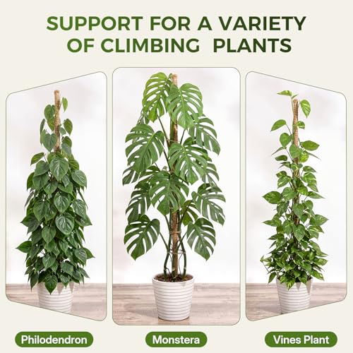 4 Pack Moss Pole Monstera Plant Support, 2 Pack 28" & 2 Pack 48" Bendable Plant Stakes Made of Real Coco Coir Support for Climbing Indoor Plants, Tall Moss Stick Trellis for Pothos & Philodendron - view 7