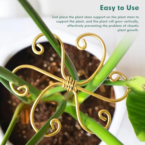 Monstera Plant Support Stakes for Indoor Plants, Gold, 5 Pack - view 7
