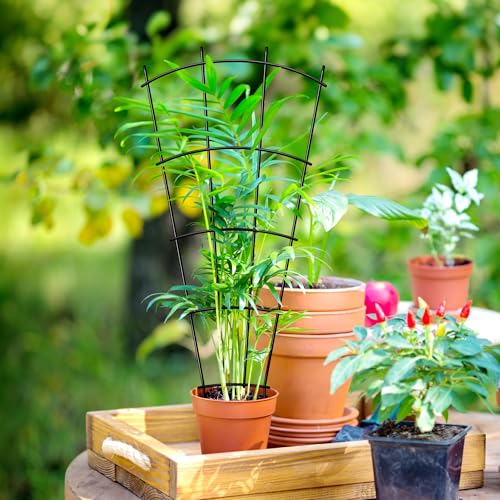 24" Metal Plant Trellis, Climbing Plant Support, 4 Pack Black - view 6