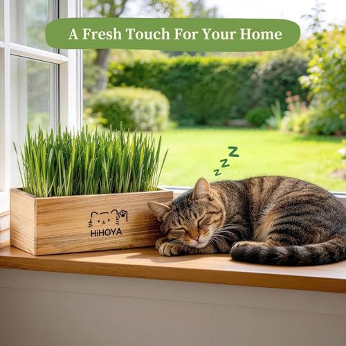 Cat Grass Kit for Indoor Cats - 5 Packets of Seeds, Cat Grass Planter Wooden Growing Kit, 5-Time Plant Starter Pack with 6 Soil Discs, Trimming Scissors, Spray Bottle, and Mini Tools - view 6