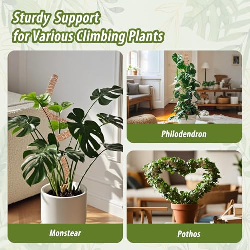 2 Pack Moss Pole, 28 Inch Monstera Plant Support, Moss Poles for Climbing Indoor Plants, Bendable Coco Coir Plant Support Stakes for Potted Plants, Pothos, Philodendron - view 7
