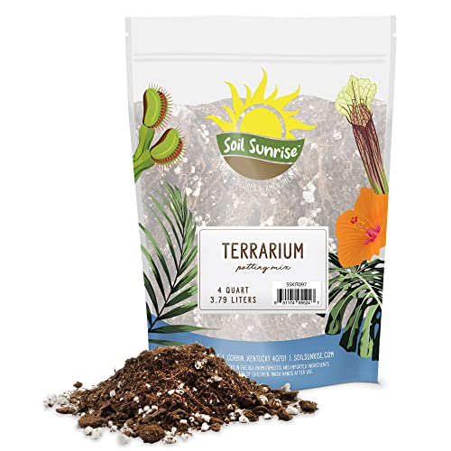 Terrarium Potting Soil Mix (4 Quarts) w/Blended Filtering Charcoal Custom Made for Terrariums
