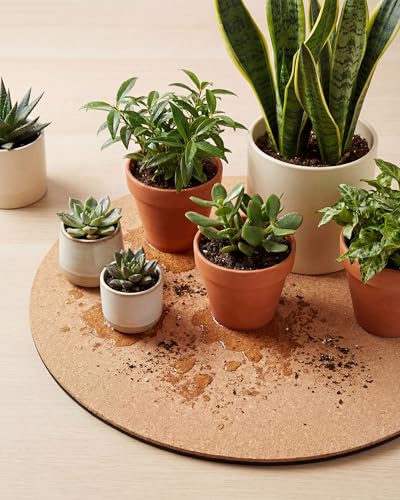 18 Inch Cork Plant Coasters, 2 Pack Large Round Plant Mats for Planters - view 6