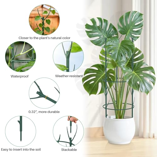 Monstera Plant Support Stakes, 30 Pcs Stackable Plant Support Stakes Sticks Poles for Indoor & Outdoor Plants, Climbing and Potted Plants, Stem Supports, Pothos - view 2