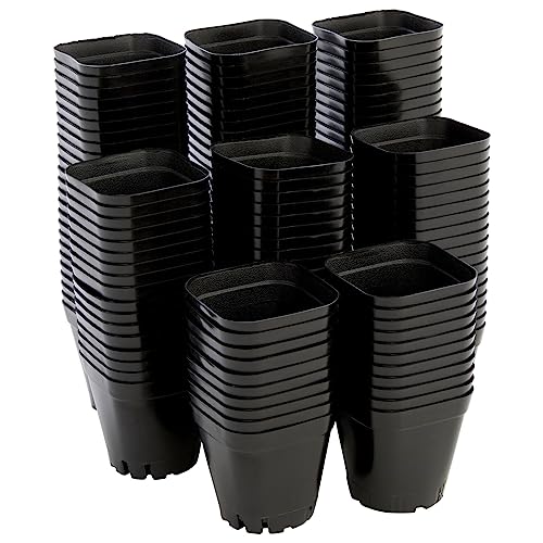 Square Nursery Pots - Seedling Planters with Drainage Holes - Versatile Pots for Plants & Succulents - Space-Saving Stackable Planters - 2.6 in, Pack of 150, Black