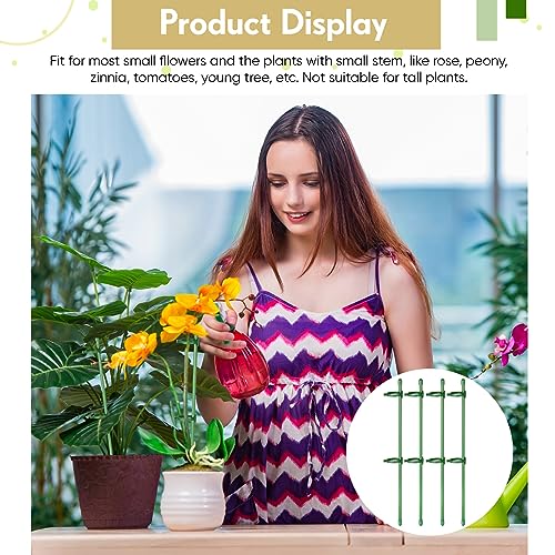 12 Pcs 12 Inch Adjustable Plant Support Stakes for Indoor, Green - view 6
