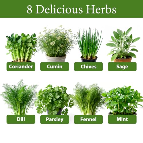 Indoor Herb Garden Kit, Complete Herb Starter Growing Kit with Seeds & Tools, Christmas Birthday Gifts for Women Men Mom Dad, House Warming New Home Kitchen Gifts for Girls Boys Plant Lovers - view 4