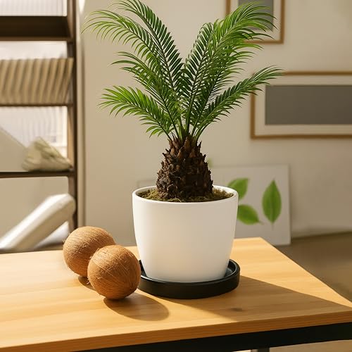 Ceramic Plant Saucer/Drainage Tray, 7.1 in, Black, 97-T-B-3 - view 6