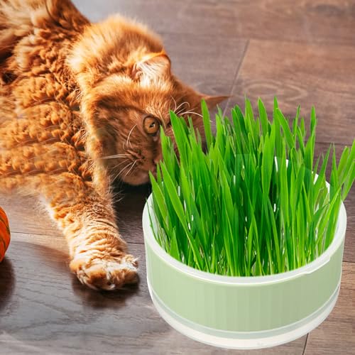 Cat Grass Planter Box Plastic Soilless Hydroponic Growing Kit for Cats - view 6