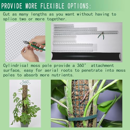 Metal Moss Poles for Climbing Plants, D-Shape Sphagnum Moss Pole Monstera Plant Support for Climbing Plants, DIY Plant Stakes Work with Sphagnum Moss (4ft D-Shaped & 6ft Round) - view 6