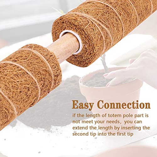Coir Totem Pole for Climbing Plants, 2 Pcs 12'' Coir Moss Totem Stick - view 5