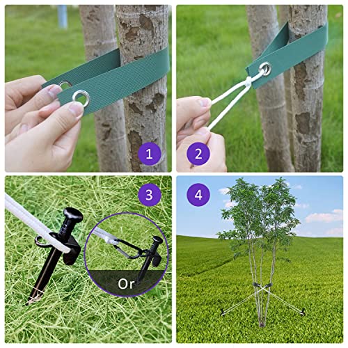 Heavy Duty Steel Tree Stake Kits,Tree Staking and Supports Kits for Young Trees Against Bad Weather, Include 3 PCS Tree Straps for Staking, 3 PCS 11.8 Inch Tree Stakes and 31.2 Feet Rope for Anchoring - view 2