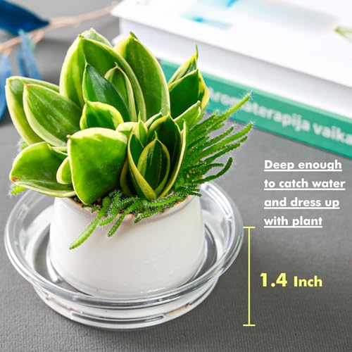 Plant Saucer 20 Pack Plant Trays for Pots 4 Inch Plastic Plant Saucers for Outdoors and Indoors Clear Drip Trays for Potted Plants Flower Pot Plates to Catch Water Plant Drainage Dishes No Holes - view 5