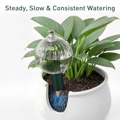 23 oz Top Fill Glass Watering Globe with Terracotta Spike - view 4