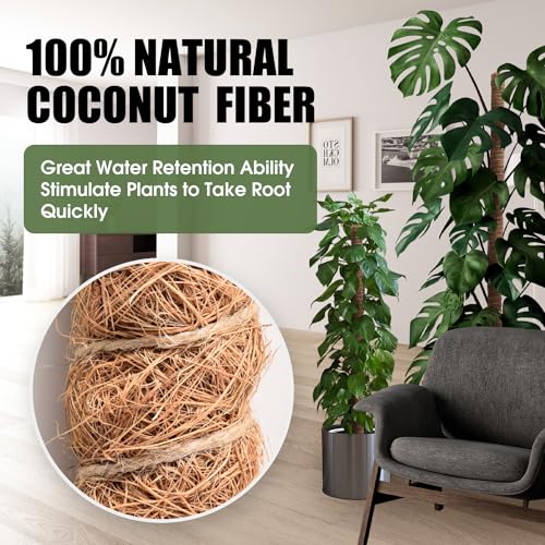 3 Pack Moss Pole 50 Inch Monstera Plant Sticks Support Tall Long Stakes - view 6