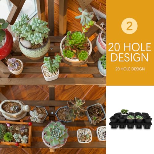 Black Plastic Succulent Pot Tray with Humidity Dome for Seed Starting - view 6
