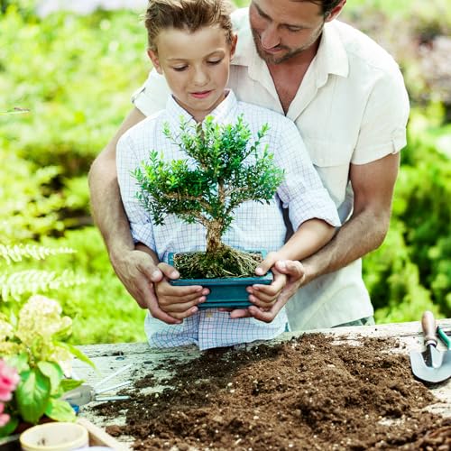 Bonsai Soil Mix 1qt Ready to Use, Organic Bonsai Tree Soil Fits for Small Bonsai Pot, Suitable for Bonsai Seedling, Repotting, or Bonsai Starter Kit - view 6