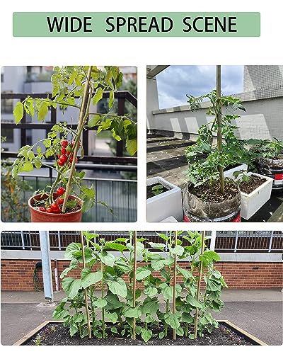 4 Ft Bamboo Stakes with 100 Twist Ties Natural Bamboo Garden Stakes for Tomatoes Cucumber Grapes Pole Beans Trees Potted Dahlia Flowers and Climbing Plants - Pack of 25 - view 6