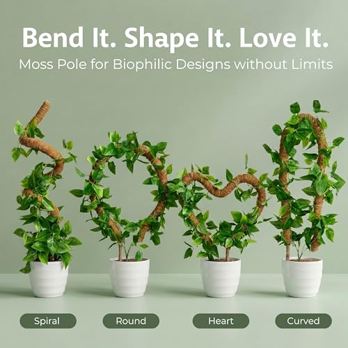 30 Inches Bendable 2 Pack Moss Pole Monstera Plant Support Stakes - Moss Poles for Climbing Plants, Plant Stakes for Indoor Plants - Coco Coir Pole Moss Stick for Monstera, Pothos. - view 3