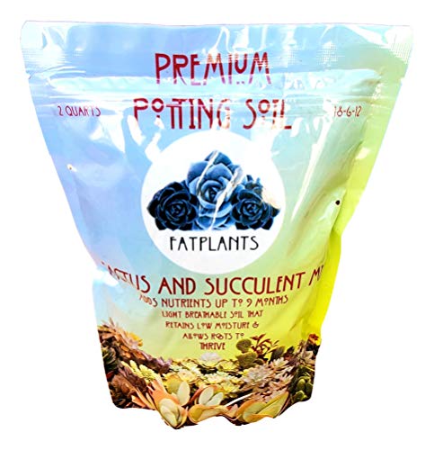 Premium Cacti and Succulent Potting Mix Soil - for Cactus Palm Tree Citrus Plant Grown in Gardening Containers - Indoors & Outdoors Use - with Natural Food/Fertilizer - view 4