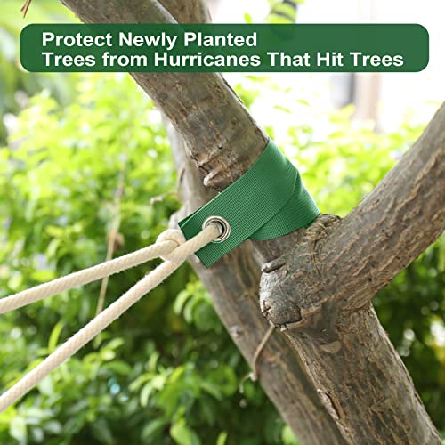 12-Pack Heavy Duty Tree Straps for Staking and Support - view 6