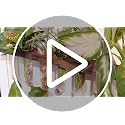 Wall Hanging Propagation Station with Wooden Stand Glass Test Tubes Tiered Planters Wall Terrarium for Home Office Plant Hanger Flower Vases Wall Decor Hydroponic Cuttings (9 Tube Vases) - view 7