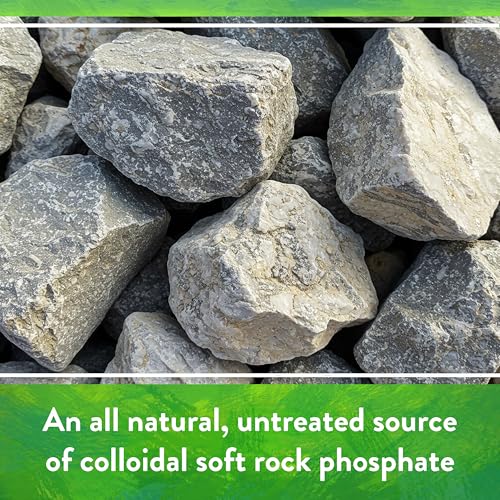 Organic Rock Phosphate - Calcium Phosphate Plant Food for Flower Beds and Vegetable Gardens 0-3-0, 5 lb - view 5