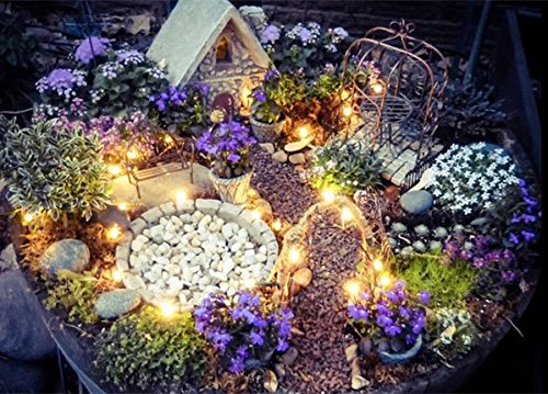 14 Pieces Succulent Plants Tools, Mini Garden Hand Tools Miniature Fairy Garden Tools Kit Bonsai Tools Planting Set with Scissors, Mini Rake, Shovel, Transplanting Tool Watering Can etc - view 7