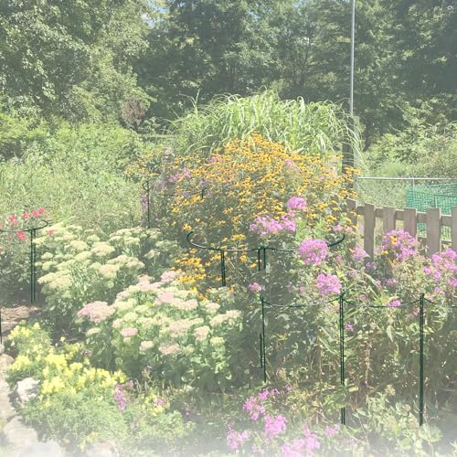 6 Pack 30 inch Plant Support Stakes, Heavy-Duty Half Round Peony Support, Garden Plant Stakes Cage for Outdoor Plants, Peony, Tomato, Hydrangea, (15In Support +15In Stainless Extension Tubes) - view 7