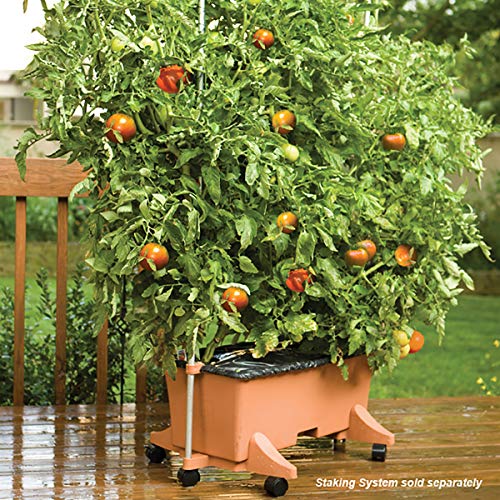 80105 Garden Kit, Standard, Terracotta - view 2