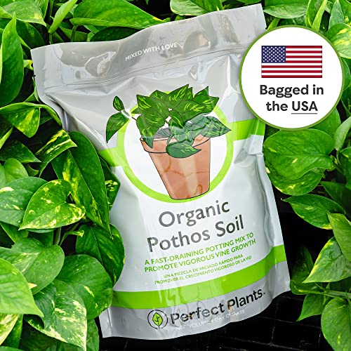 Organic Pothos Soil, 4 qt, Indoor Coco Coir Mix - view 4