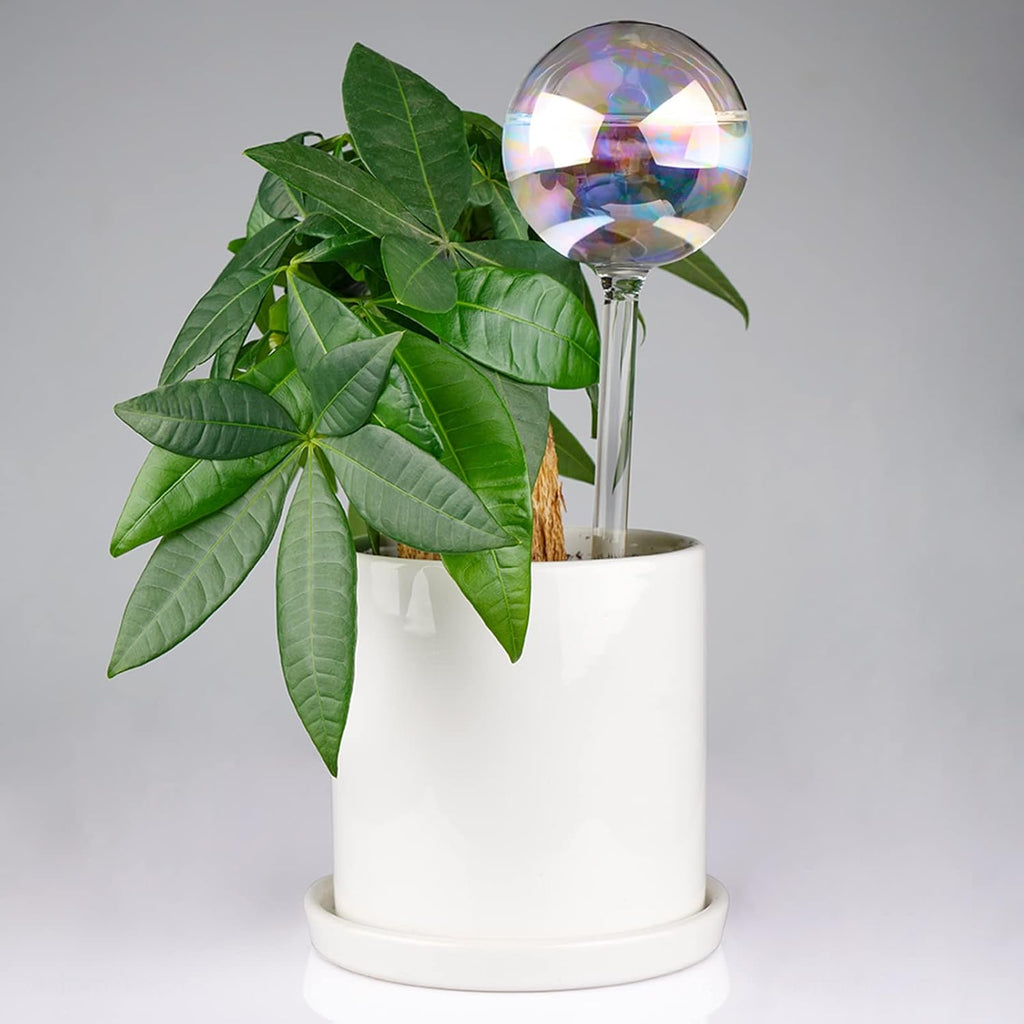 [6 PCS] Light iridescent rainbow gradient color clear glass self-watering system spikes, automatic plant waterer bulbs - view 6