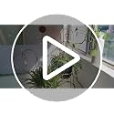14.17 Inch Small Trellis for Potted Plants Indoor Outdoor - view 7
