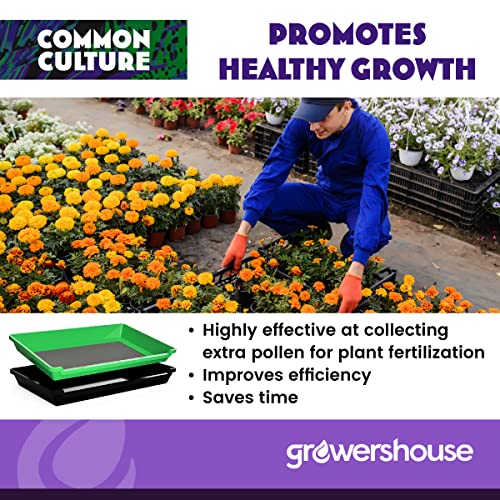 Trim Tray Kit with Trimming Tray 13" x 20", 150 Micron Pollen Screen, Bottom Harvest Bin, Scissors, Herb Plant Flower Dry Sifter Accessories and Supplies Set - view 3