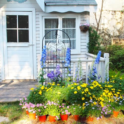 Wrought Iron Garden Trellis for Climbing Plants, 70.8" H x 25.6" W - view 6