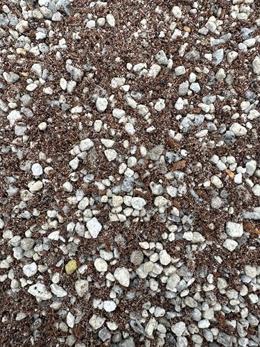 Lithops Seed Starting Soil Gritty Mix, 2 Qt, Fast Draining Potting Medium - view 5