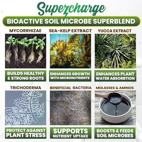 Mycorrhizae with Beneficial Bacteria for Plants - Supercharge - view 2