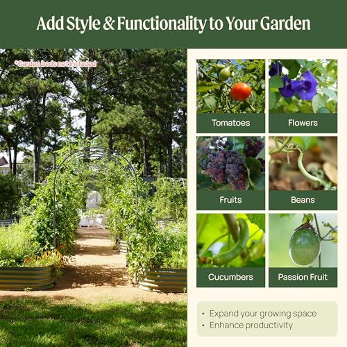 Modular Arched Trellis System Single Section 3.0' Long Trellis for Classic Garden Bed for Climbing Plants Like Cucumber Beans Tomatoes & Vines (Garden Beds Not Included) - view 4