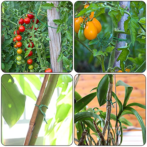100 Feet Soft Tie for Plants, Green Twist Garden Ties Gardening Supplies for Supporting Climbing Plants, Tomatoes, Vegetables, (Diameter - 2.5MM) - view 2