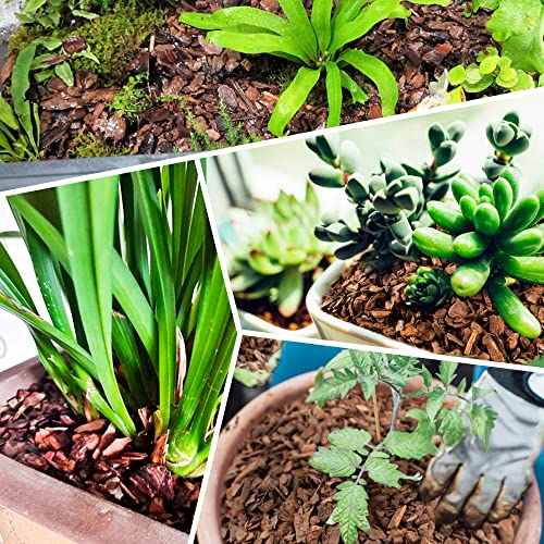 9 qt Organic Orchid Potting Bark -Natural Mulch for Potted Plants, Root Development of Orchid Plants and Garden Soil Amendment Mix - view 6