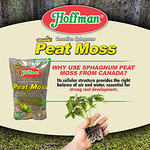 Canadian Sphagnum Peat Moss Soil Conditioner to Improve Moisture Retention and Aeration, 10qt Bag, Pack of 2 - view 6