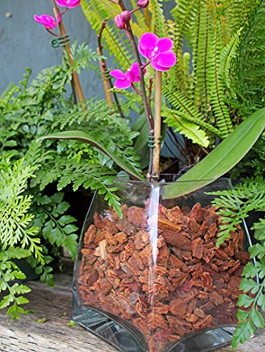 (23114) Orchid Potting Bark, Natural, 4 quarts - view 4