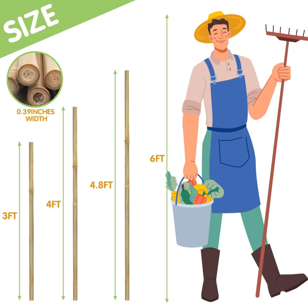 Natural Bamboo Garden Stakes, 4FT Trellis Plant Support 25Pcs | 4FT sturdy longer bamboo sticks for trellis, support tomato, vegetables, beans, trees and climbing plants indoor & outdoor. - view 2