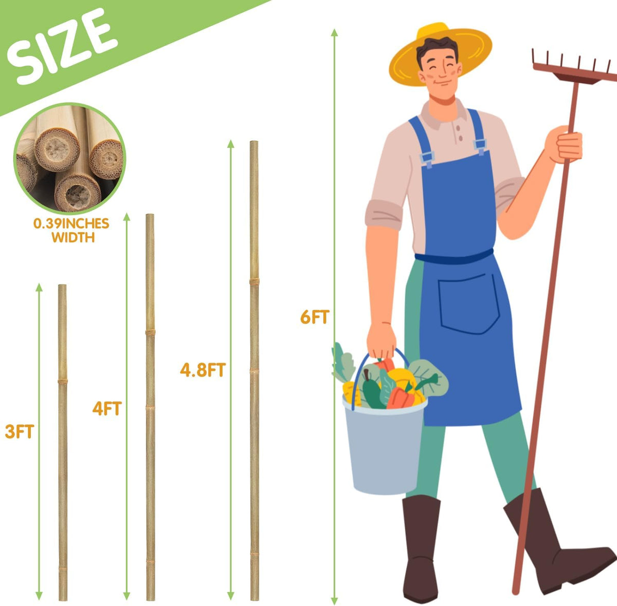 Natural Bamboo Garden Stakes, 4FT Trellis Plant Support 25Pcs | 4FT sturdy longer bamboo sticks for trellis, support tomato, vegetables, beans, trees and climbing plants indoor & outdoor. - view 2