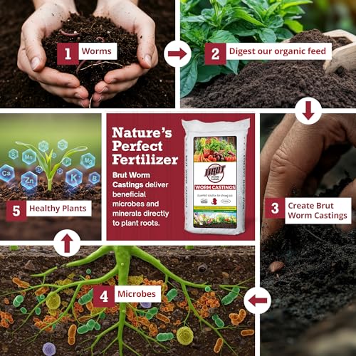 Organic Worm Castings, Natural Fertilizer for Plants, 30 lb - view 3